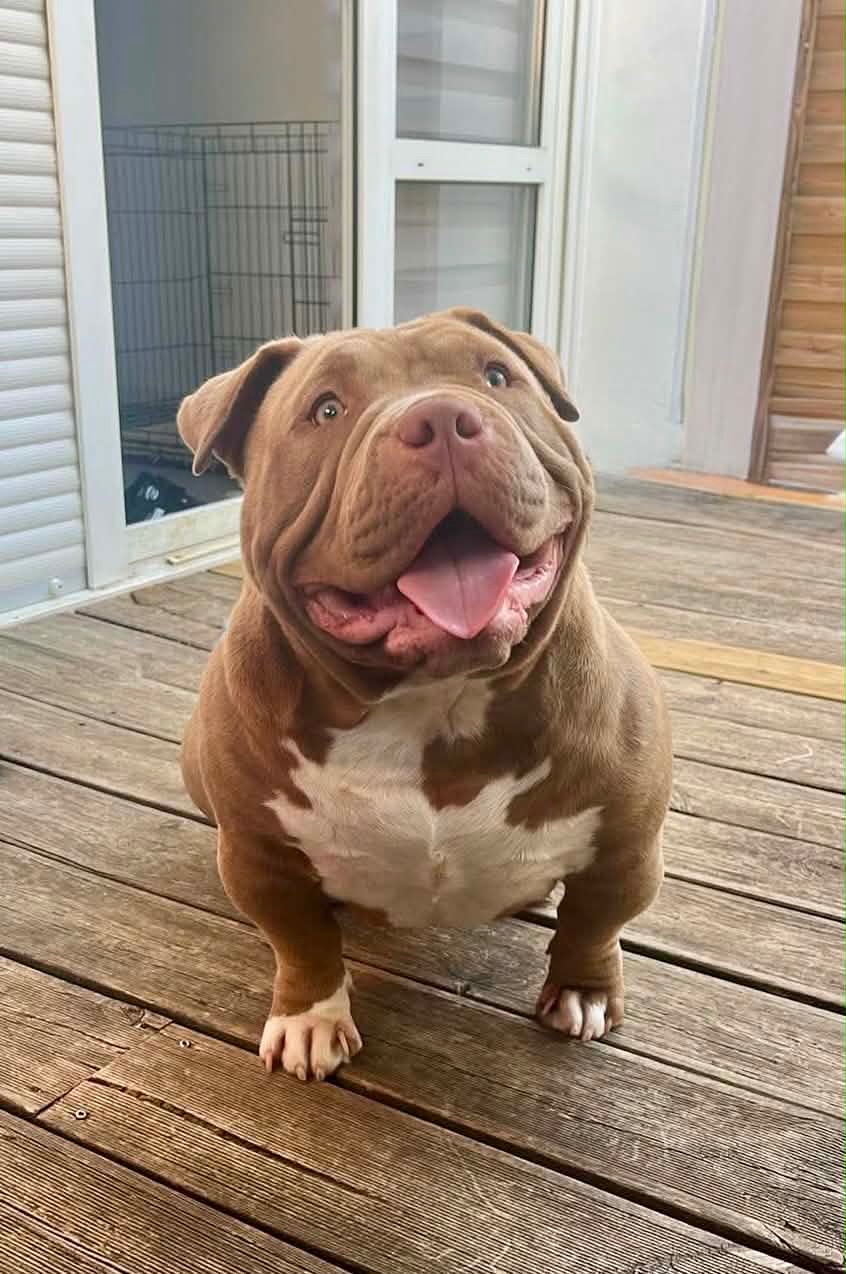 Photo de Athena