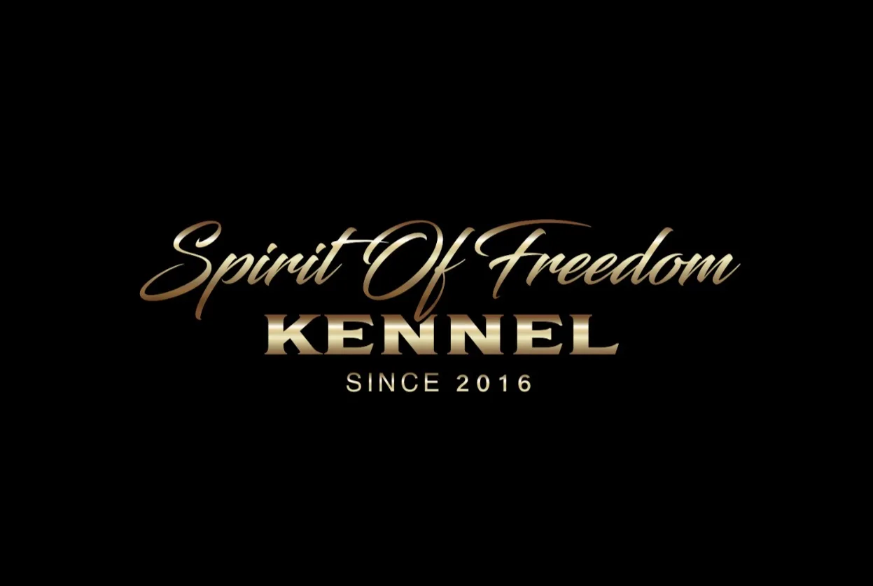 Bannière de l’élevage Spirit Of Freedom Kennel 